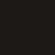 Schwarz (RAL9005)